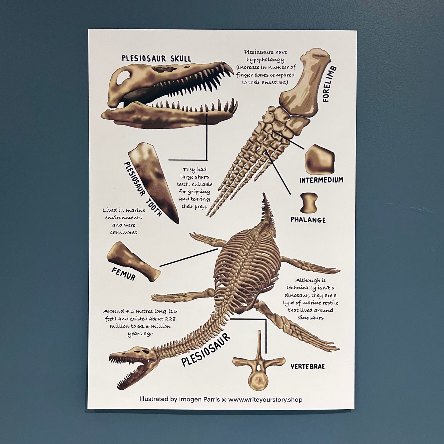 Plesiosaur Art Print