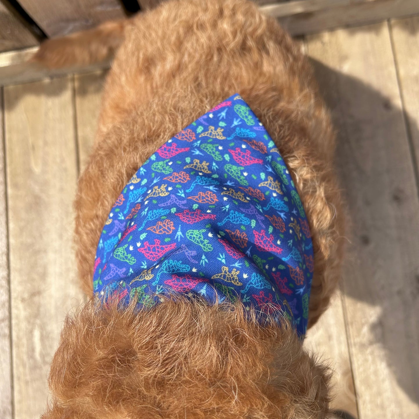 Dinosaur Dog Bandana