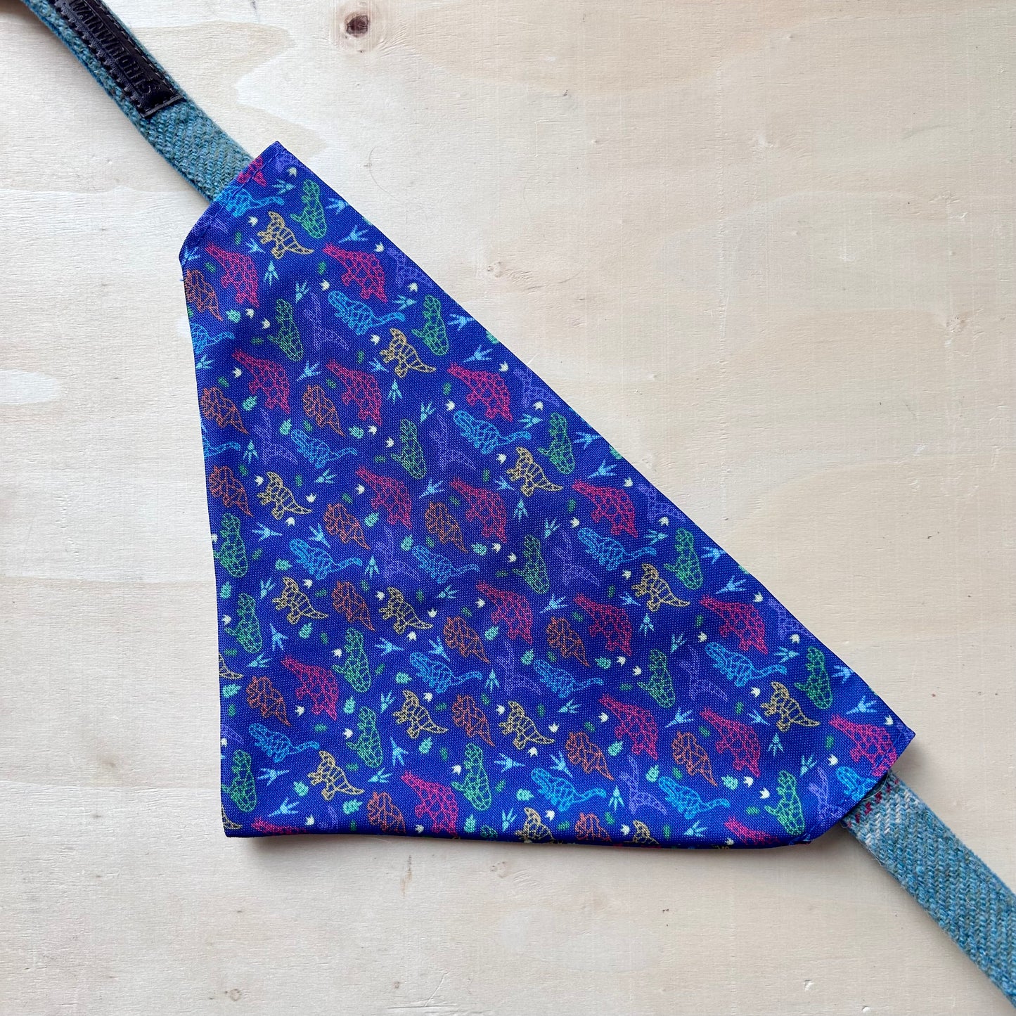 Dinosaur Dog Bandana