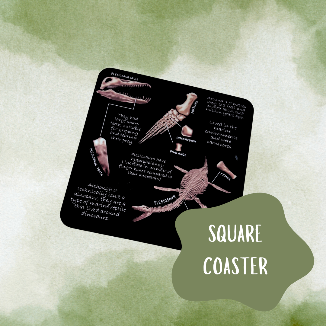 Plesiosaur Coaster