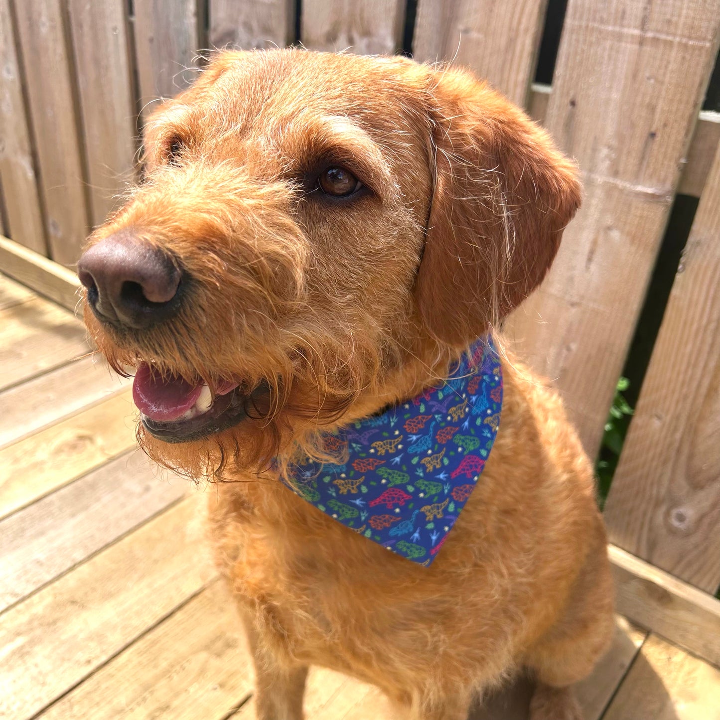 Dinosaur Dog Bandana