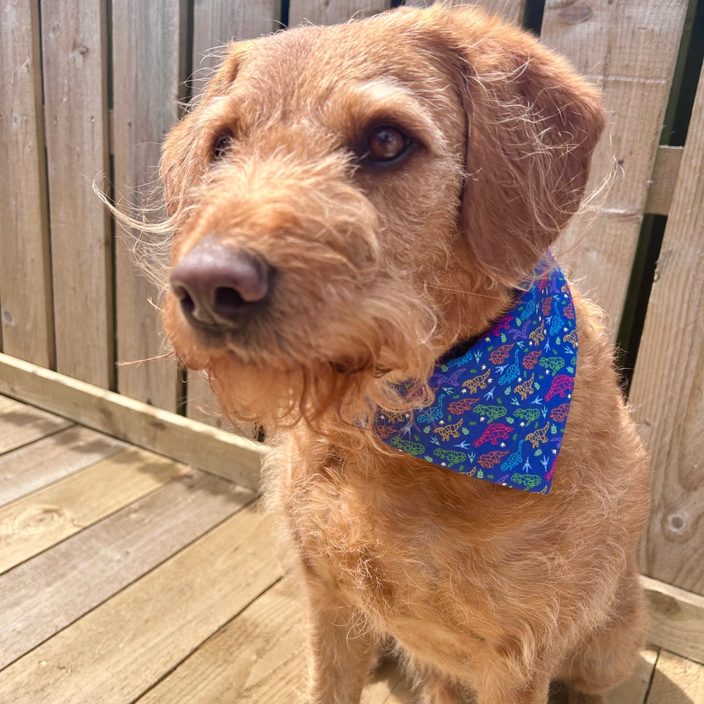 Dinosaur Dog Bandana