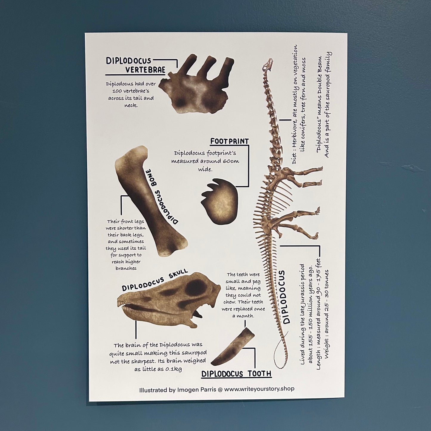 Diplodocus Art Print