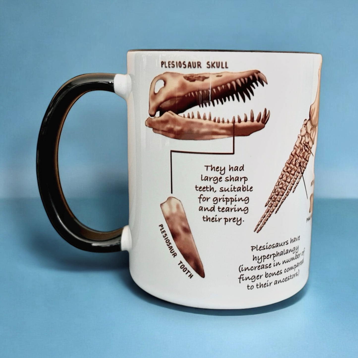 Plesiosaur Mug