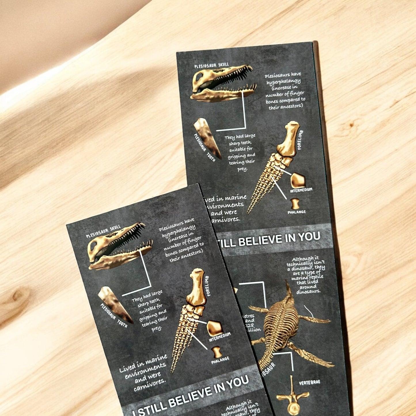 Plesiosaur Bookmark