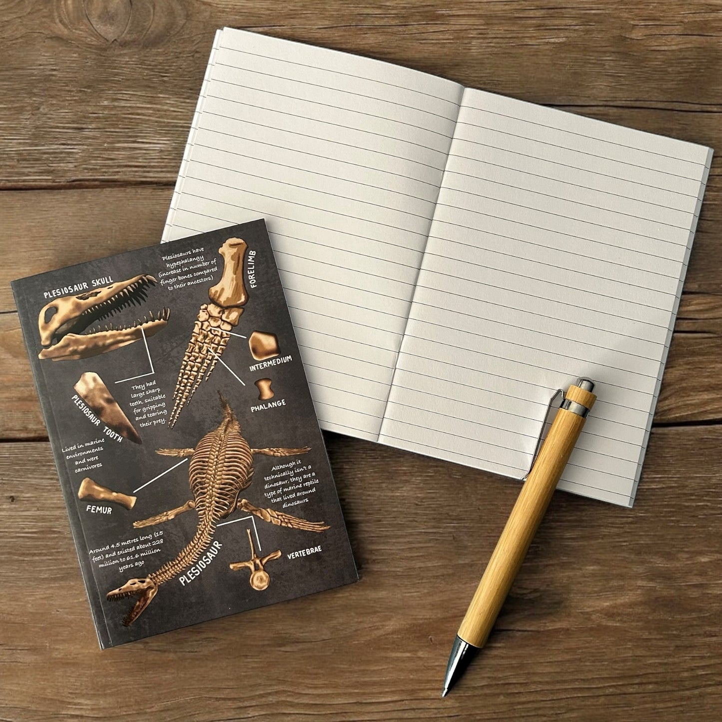 Plesiosaur A6 Notebook