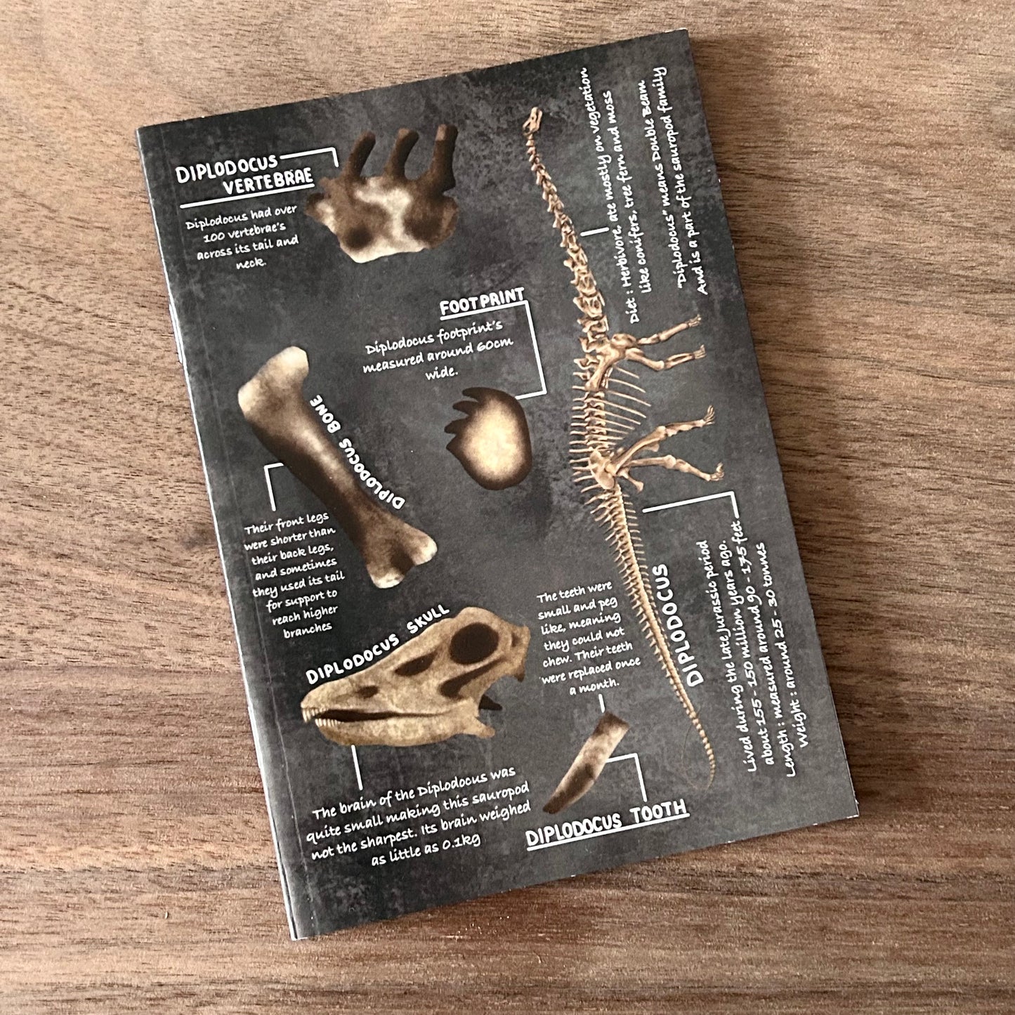 A6 Diplodocus Notebook