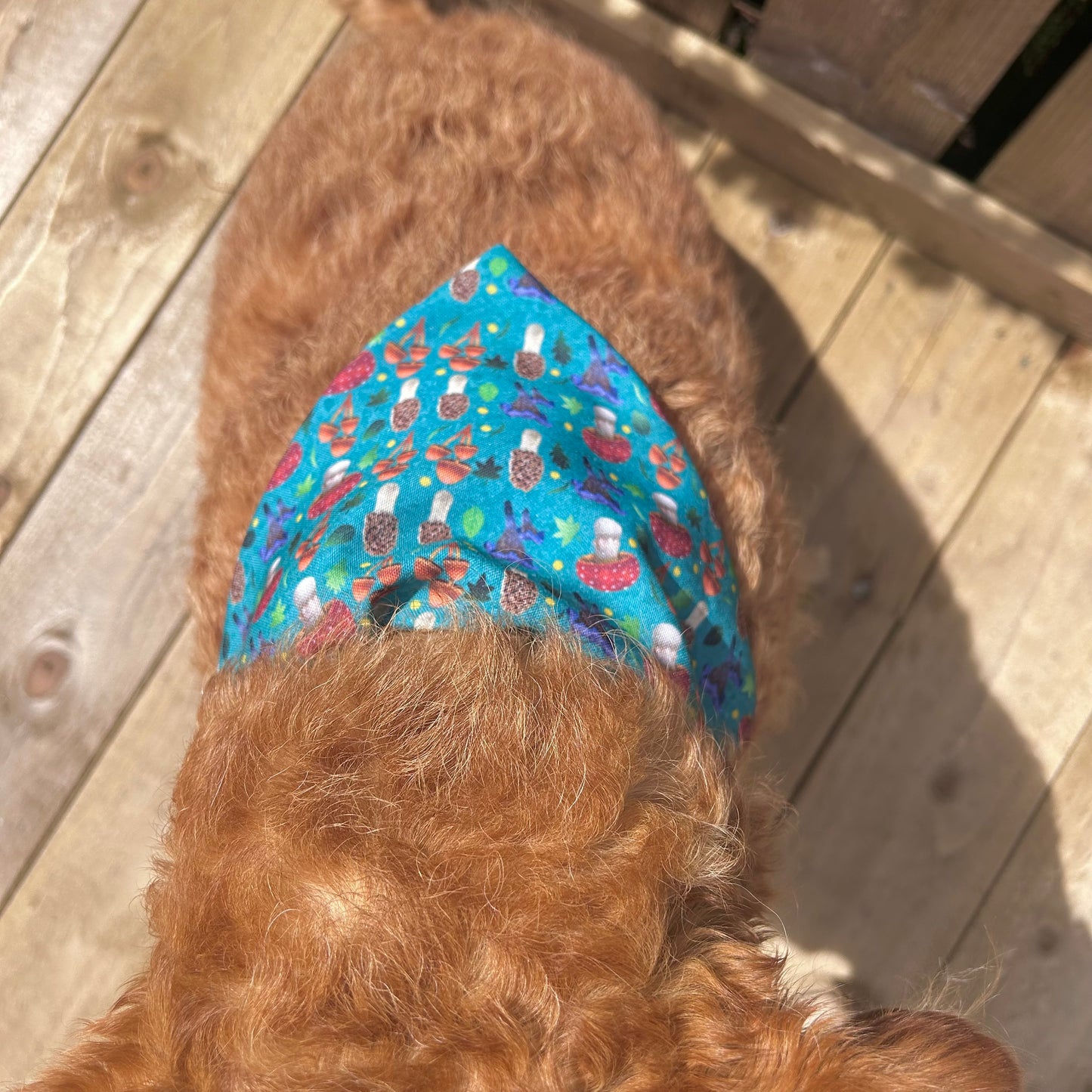 Mushroom Dog Bandana