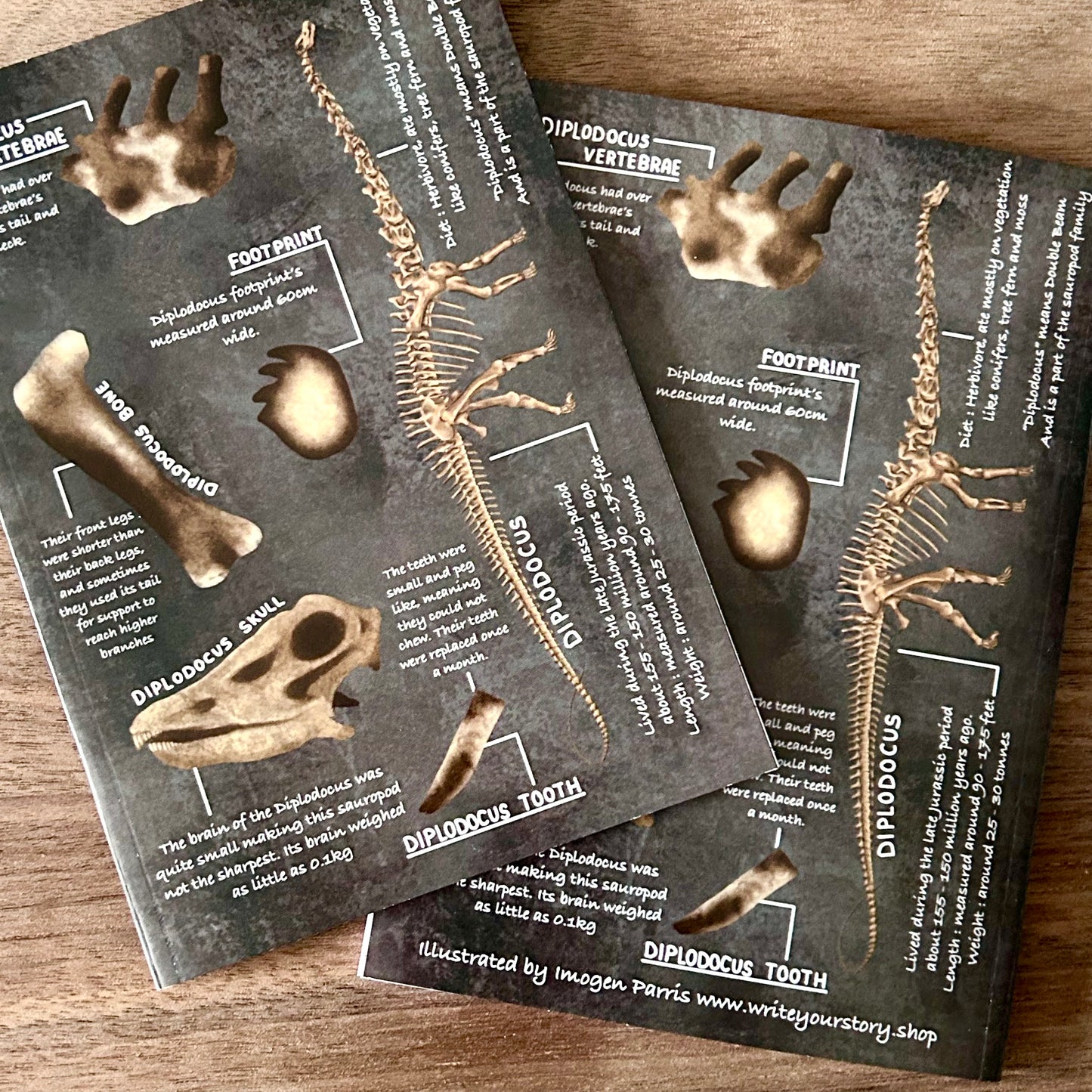 A6 Diplodocus Notebook
