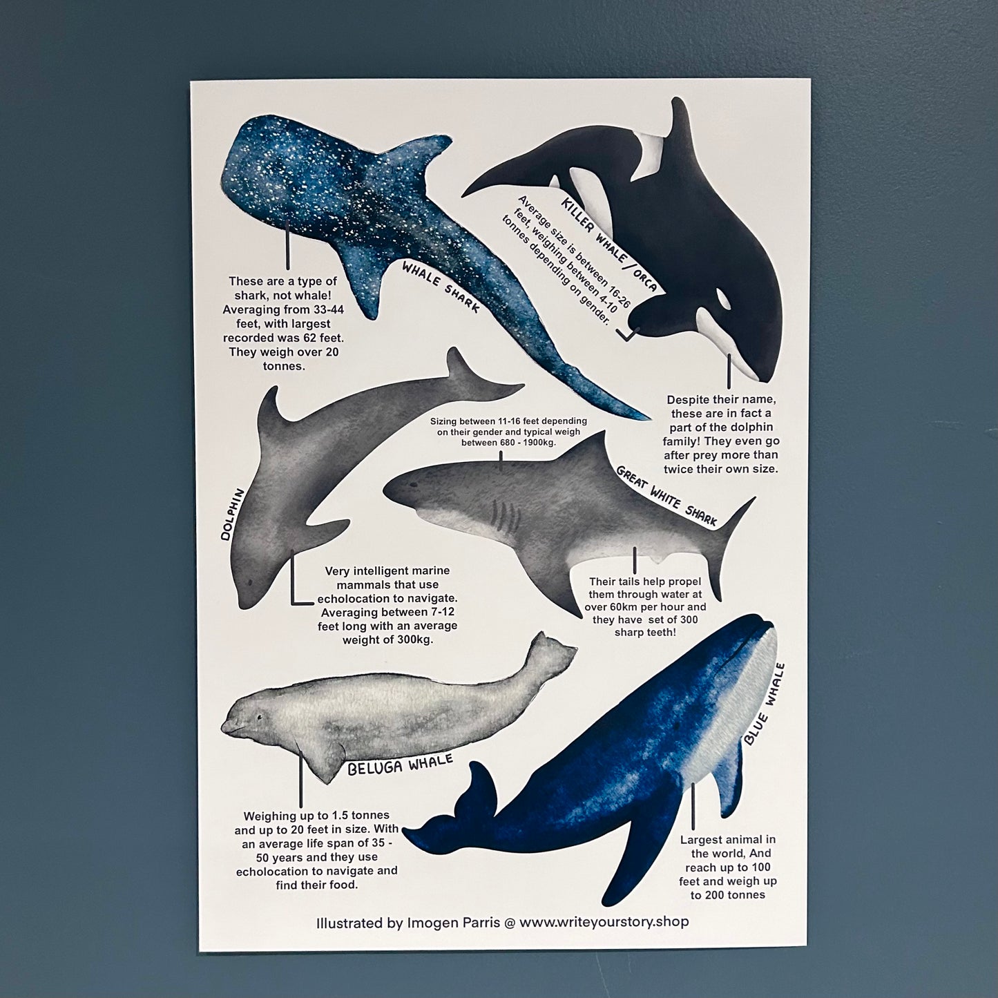 Whale Art Print